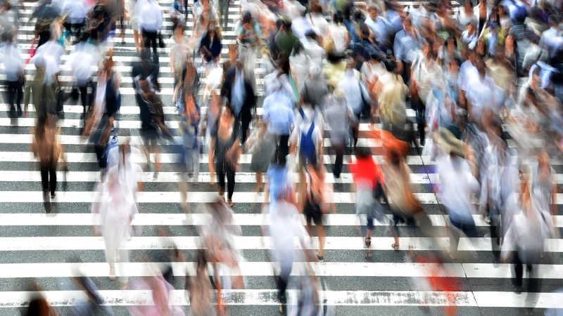 爱恋2015 在线观看影片基本信息卡:类型、时长 配图